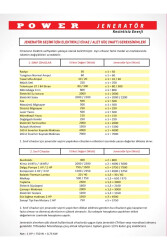 LT3900 3 Kw - 3.8 Kva BENZİNLİ JENERATÖR İpli - 5